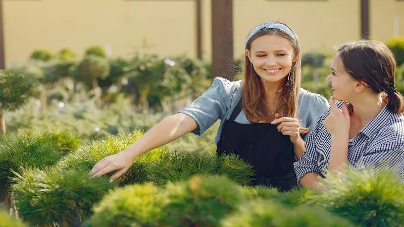 Garden Advice HomeNumental